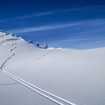 Berghotel Hahnenmoos Adelboden Exteriör bild